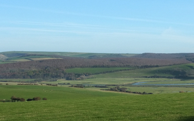 Seduced by the Seven Sisters Again