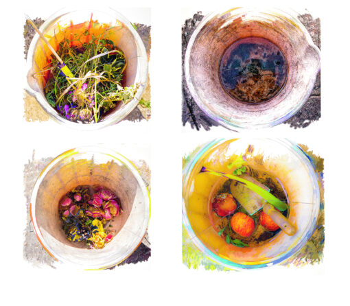 Four Seasons