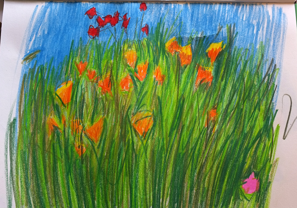 Poppy drawing 2 Studio_0007