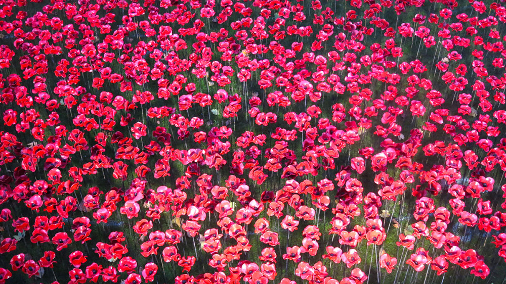 Ceramic poppies