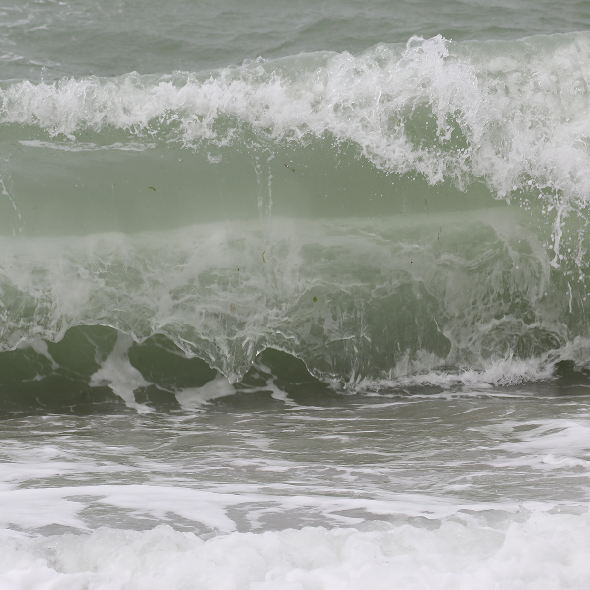 Sea 012