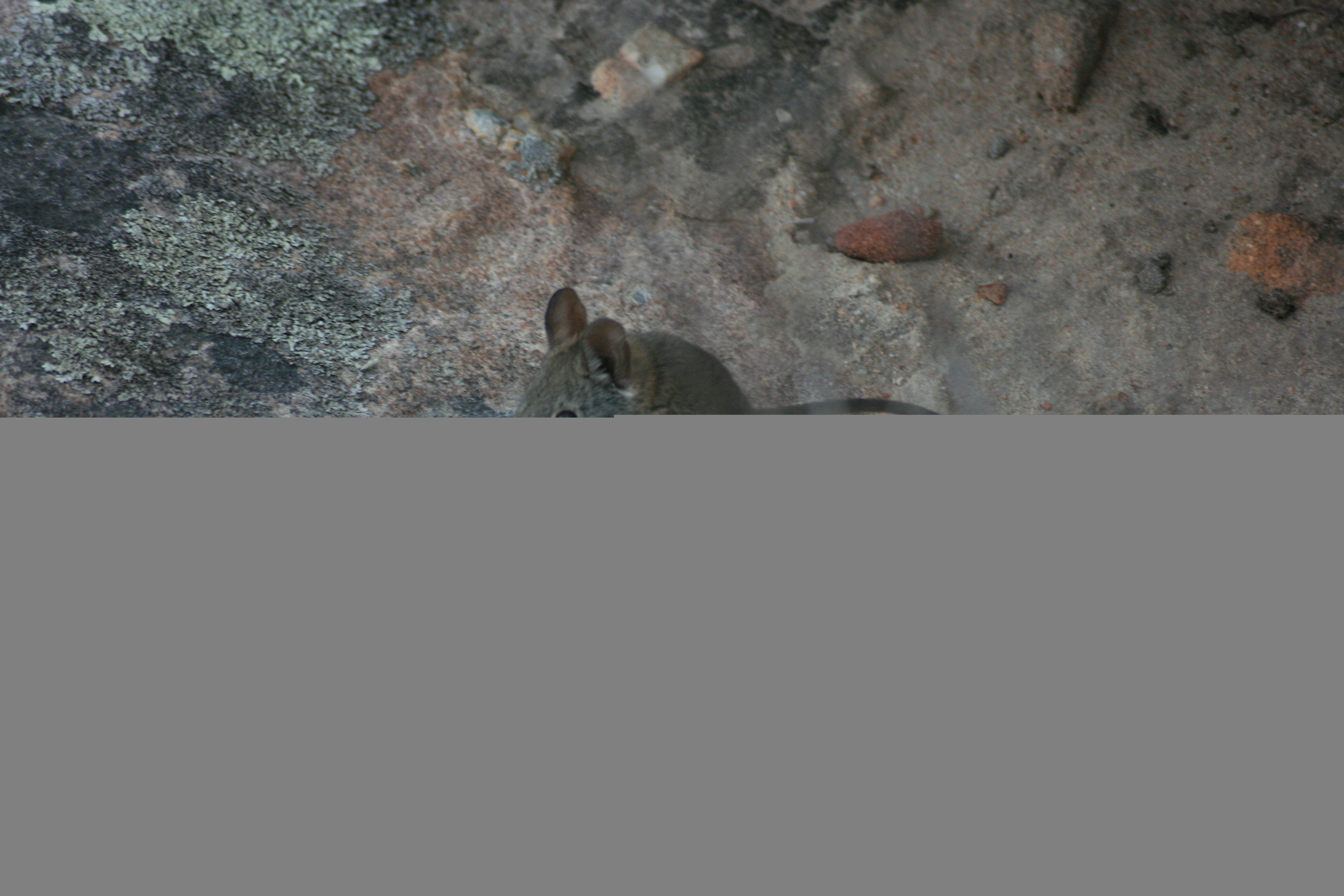 6-south-africa-4-083