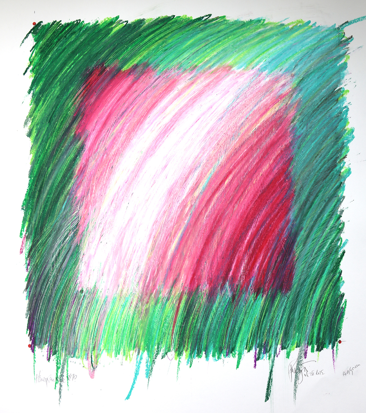 blog honeysuckle drawing #10