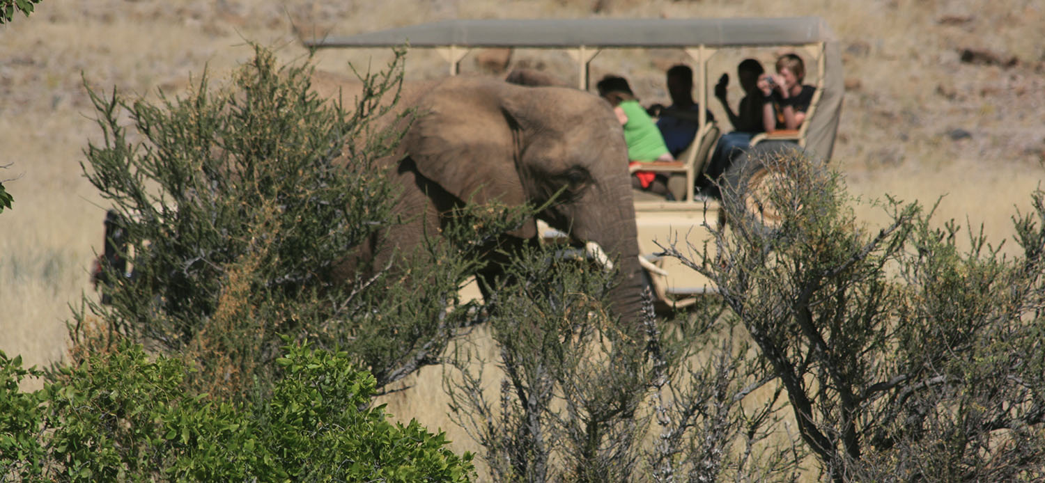 Rangers tell each other where the beasts are so all the groups converge on the siting