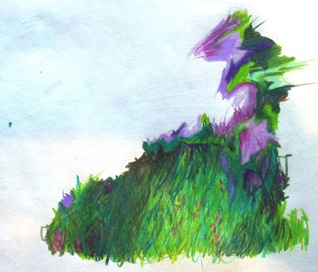 Looking at the grass, light and shade