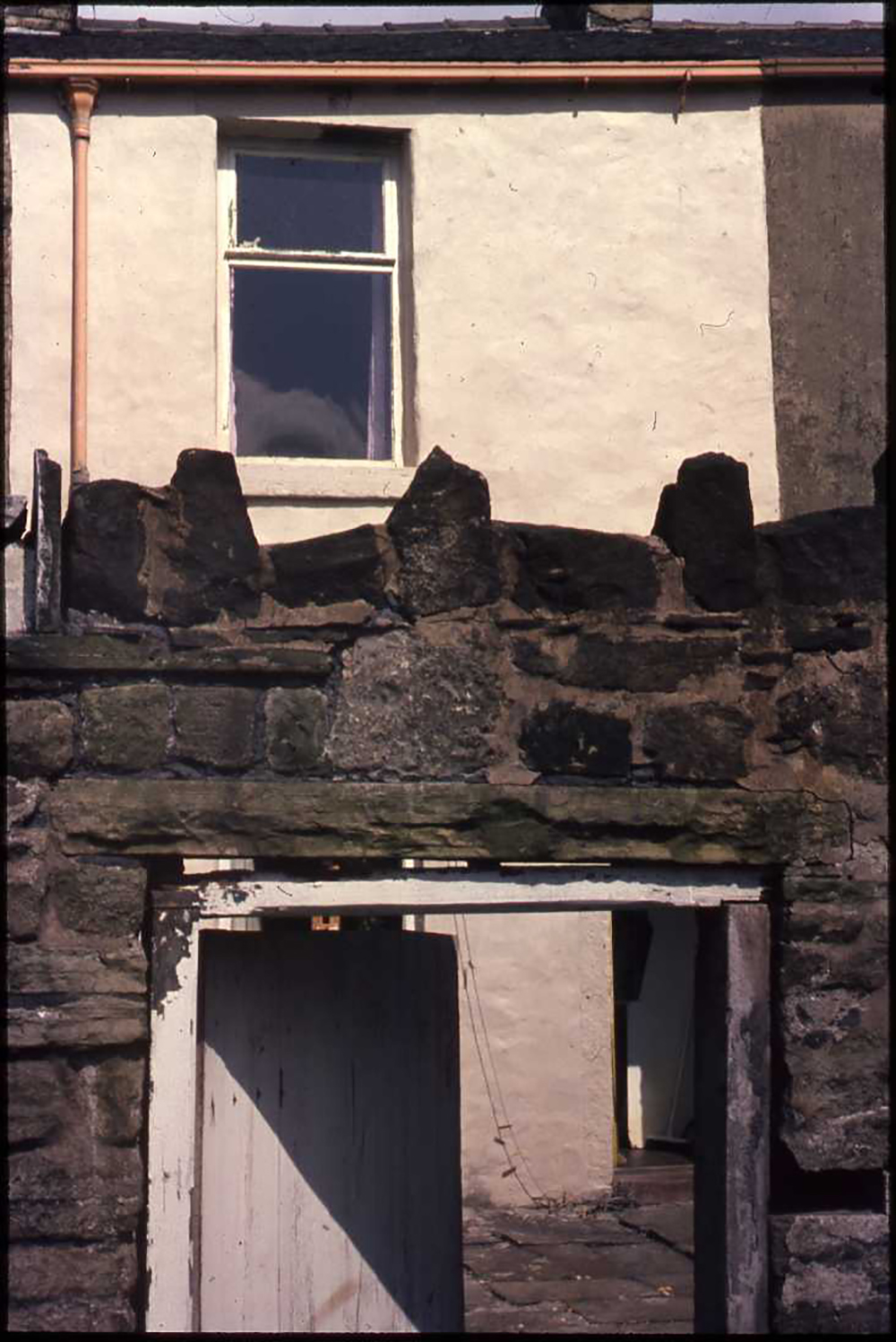 I had a RFeview of my work in the Guardian tat referred to it being "sexuality hemmed in by spiky crystalline walls". This was the spiky crystalline wall to my back yard...