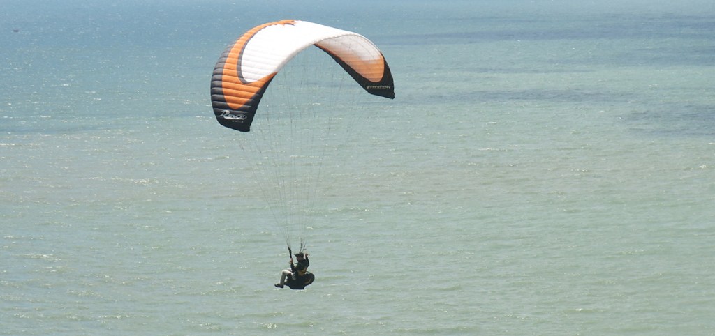Riding the updraft from teh cliffs below