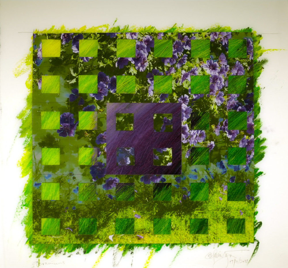 Oil pastel, giclee print collaged 12 inches square