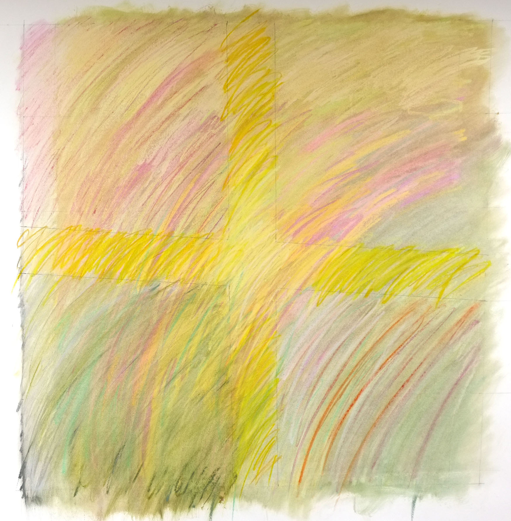 'Windflower Drawing #1 33 inches x 34 inches. Oil Pastel on paper