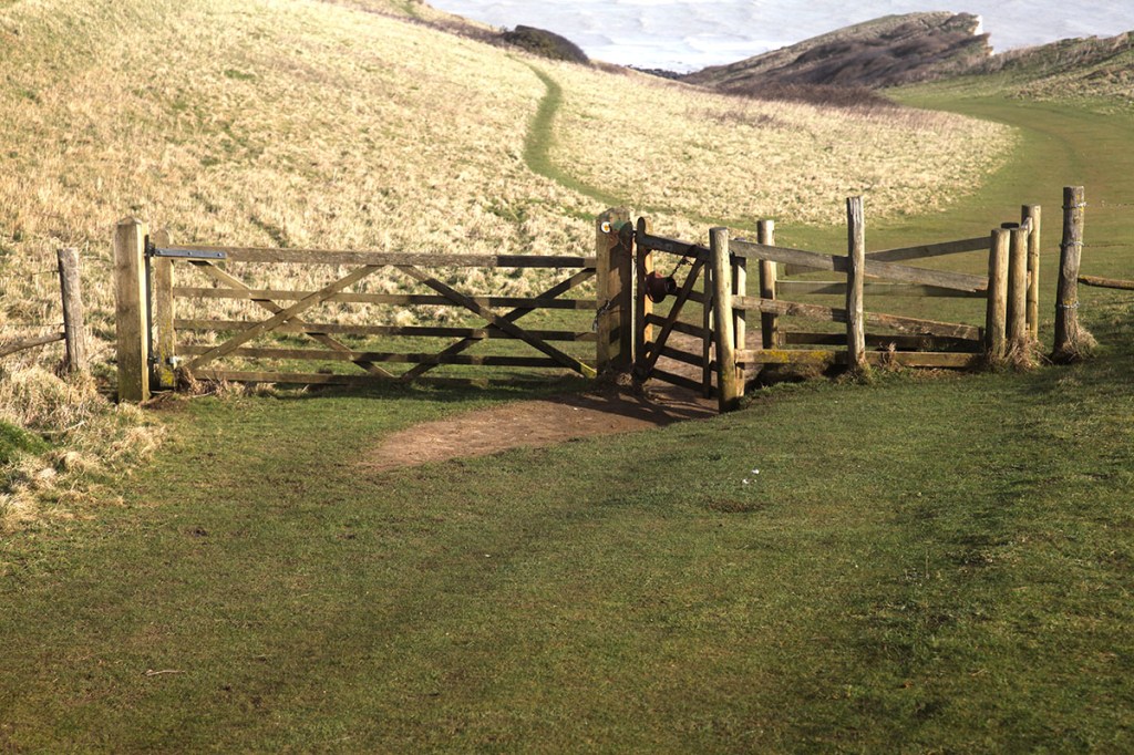 Gate