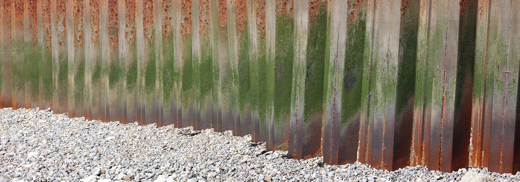 A different groyne shows different colour patterning and is slightly shaped